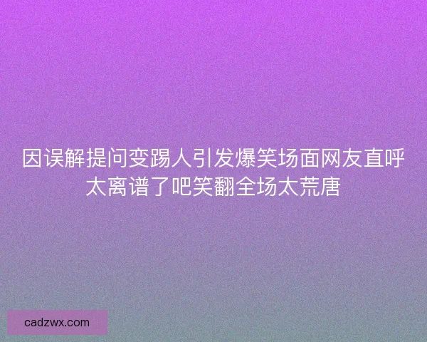 因误解提问变踢人引发爆笑场面网友直呼太离谱了吧笑翻全场太荒唐