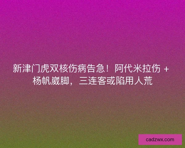 新津门虎双核伤病告急！阿代米拉伤 + 杨帆崴脚，三连客或陷用人荒