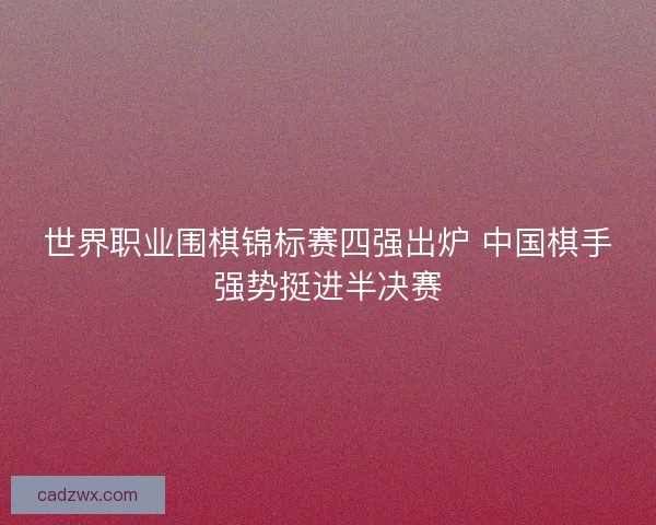 世界职业围棋锦标赛四强出炉 中国棋手强势挺进半决赛