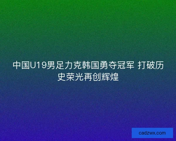 中国U19男足力克韩国勇夺冠军 打破历史荣光再创辉煌 中国U19男足力克韩国勇夺冠军 打破历史荣光再创辉煌