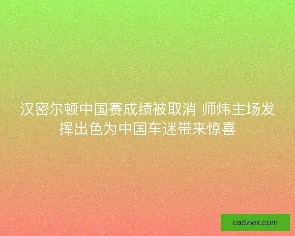 汉密尔顿中国赛成绩被取消 师炜主场发挥出色为中国车迷带来惊喜