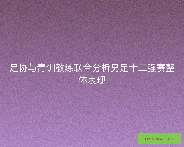 足协与青训教练联合分析男足十二强赛整体表现 足协与青训教练联合分析男足十二强赛整体表现