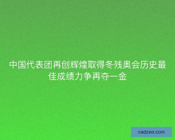 中国代表团再创辉煌取得冬残奥会历史最佳成绩力争再夺一金 中国代表团再创辉煌取得冬残奥会历史最佳成绩力争再夺一金